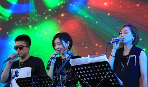 中演協(xié)經(jīng)紀(jì)人委員會(huì)專業(yè)護(hù)航，沈陽法庫音樂節(jié)圓滿落幕