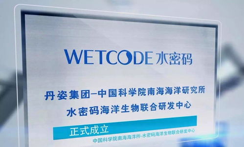 年終盤點(diǎn) 從年輕化角度看2017年的水密碼洗滌用品